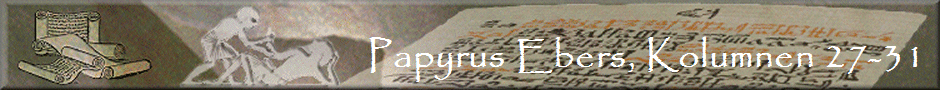 Papyrus Ebers, Kolumnen 27-31